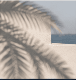 Soft palm shadow falling across a sea-facing terrace